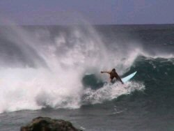 Level 10 Elite-Advanced Surfer